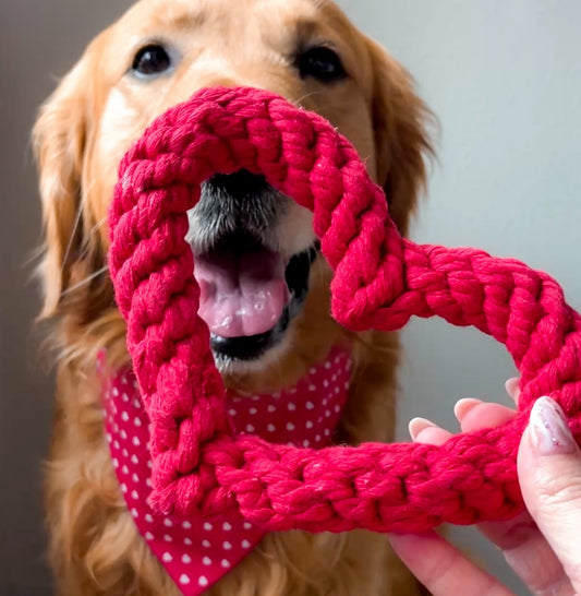 Heart Rope