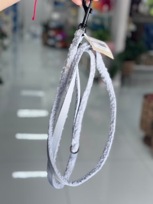 Teddy Blue Leash