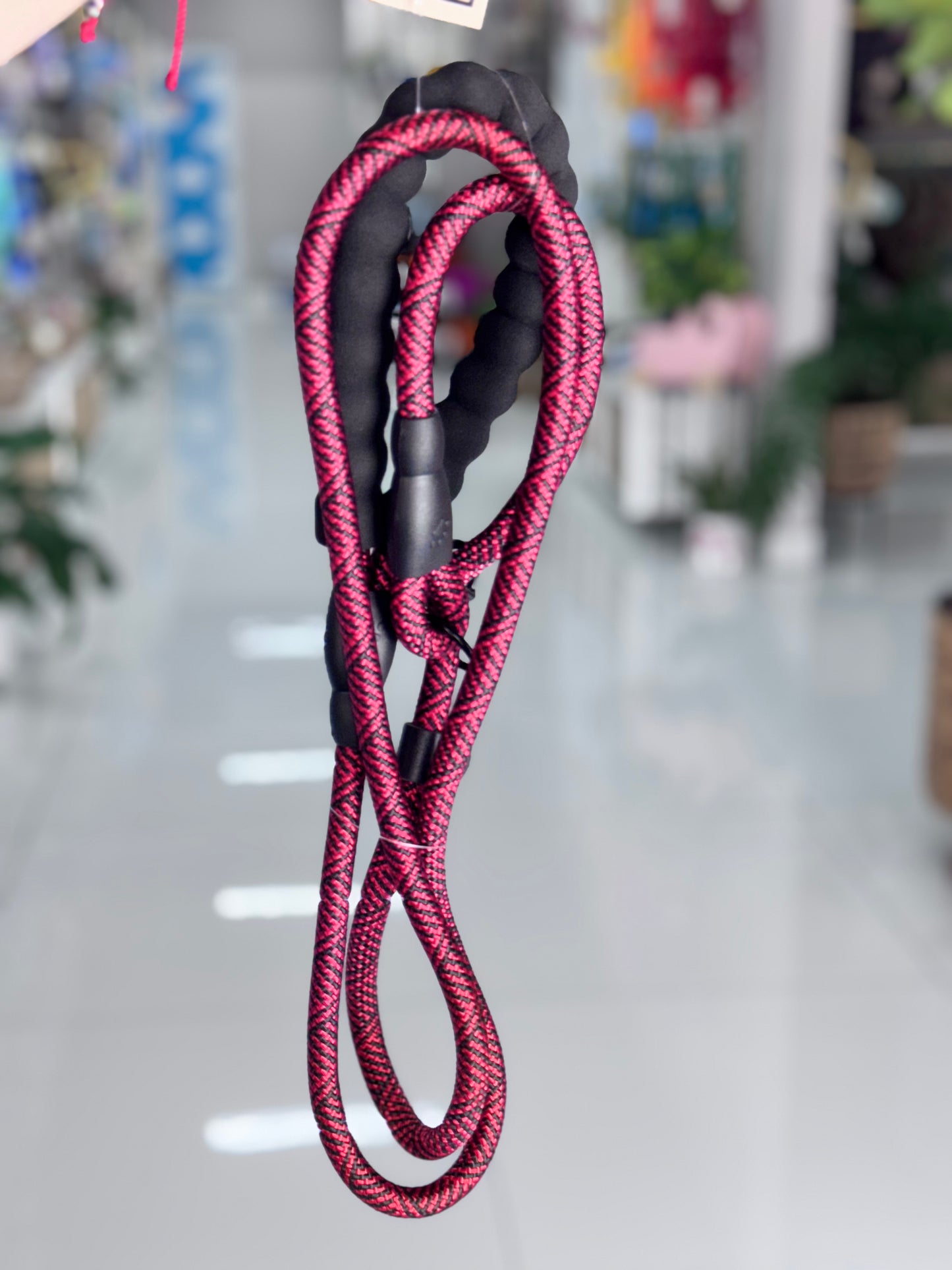 Leash/Collar Nylon