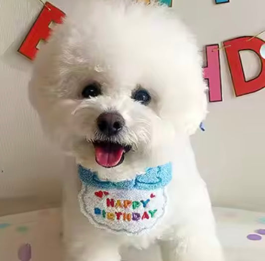 Birthday Bibs
