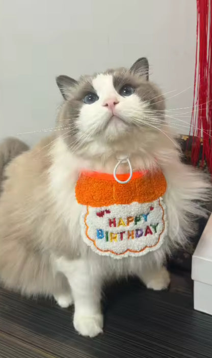 Birthday Bibs