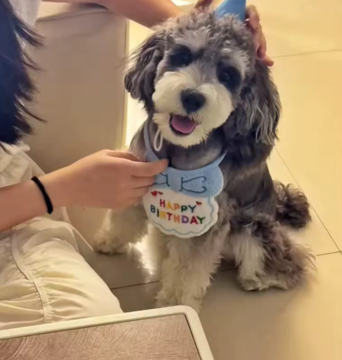Birthday Bibs