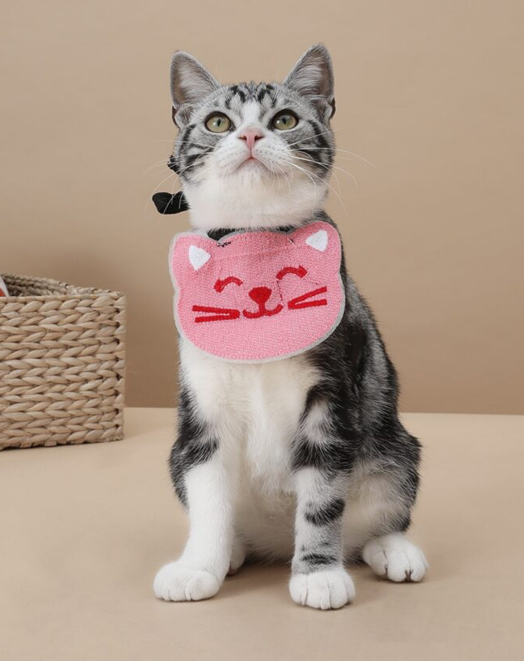 Bibs: 1 Pack (5 Pieces)