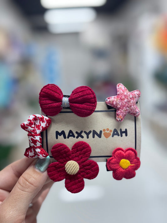 Hair Clips 5 Pack