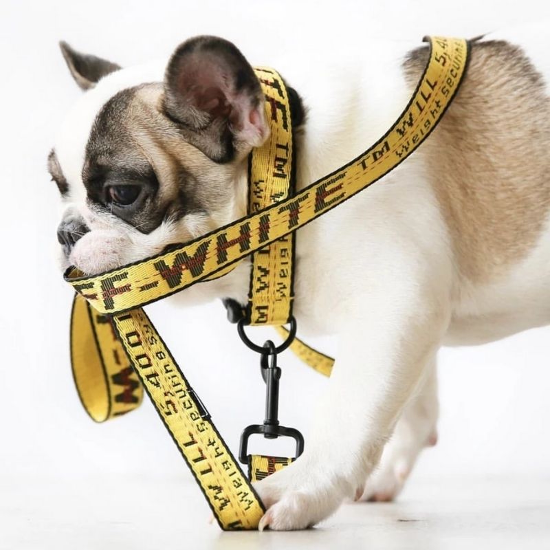 Off White: Collar Yellow