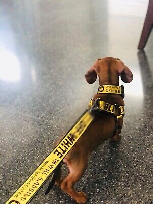 Off White: Harness Yellow