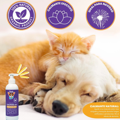 Pawls: Calming Oil