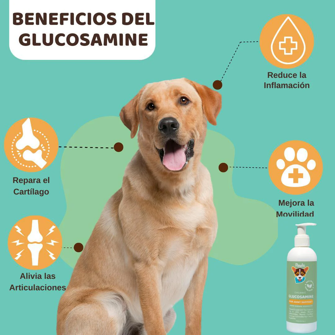 Pawls: Glucosamine 8oz