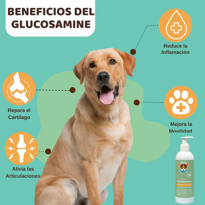 Pawls: Glucosamine 8oz