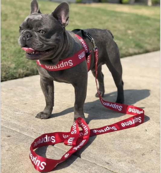 Supreme: Harness Red