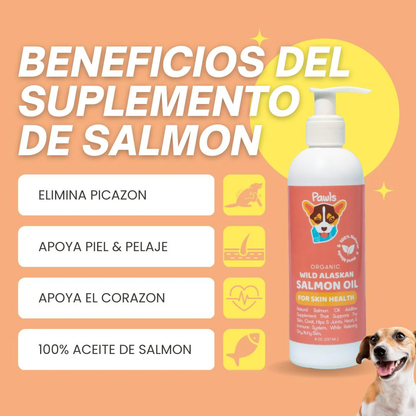 Pawls: Salmon Oil 12oz